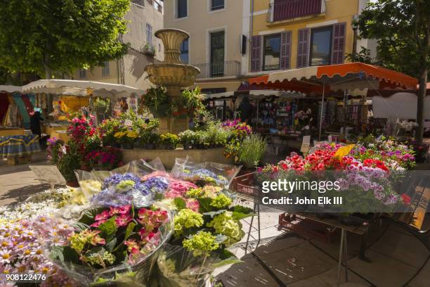 french riviera flower vendor - cassis fotografías e imágenes de stock