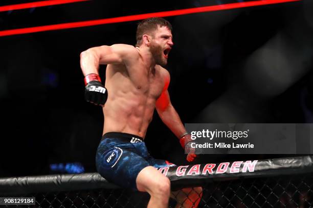 Calvin Kattar celebrates his win by TKO against Shane Burgos in their Featherweight fight during UFC 220 at TD Garden on January 20, 2018 in Boston,...