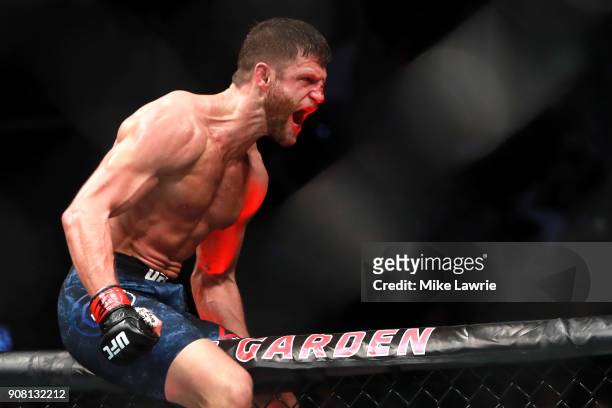 Calvin Kattar celebrates his win by TKO against Shane Burgos in their Featherweight fight during UFC 220 at TD Garden on January 20, 2018 in Boston,...