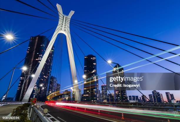 traffic light trails on the bridge - isogawyi stock-fotos und bilder