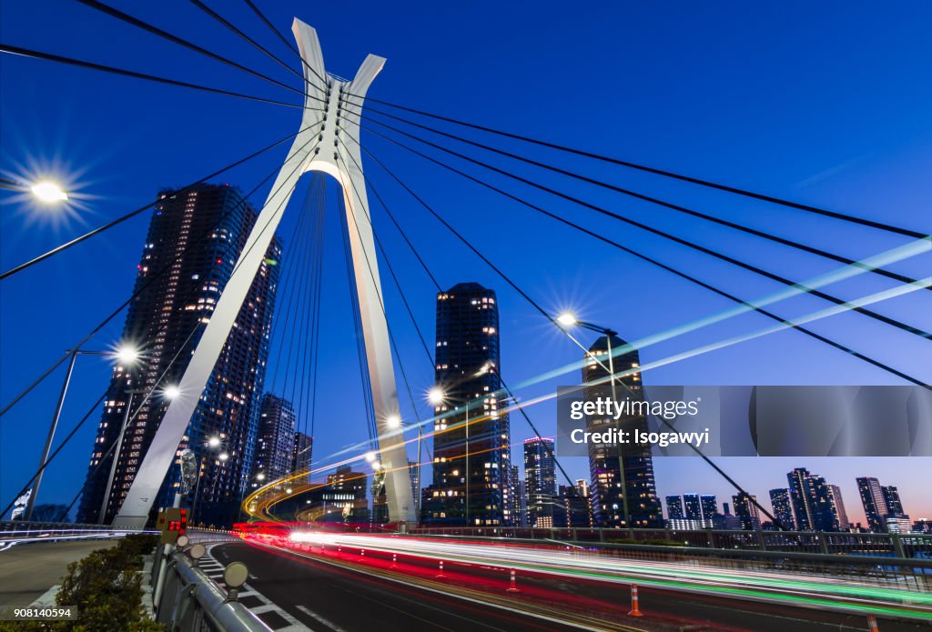 Traffic Light Trails On The Bridge