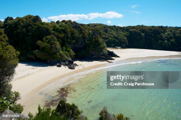 view over beach on inlet of halfmoon bay. - stewart island stock-fotos und bilder