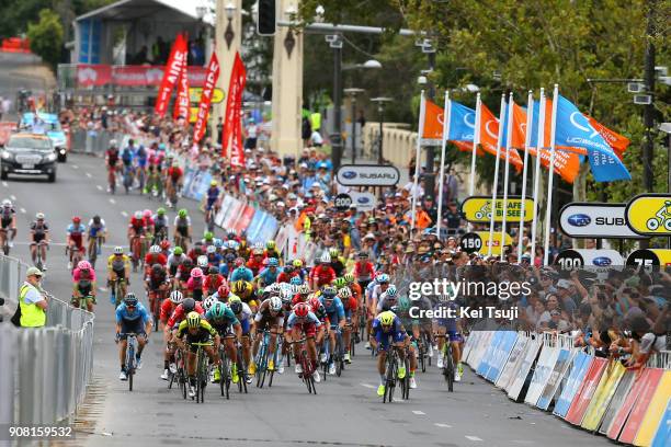 20th Santos Tour Down Under 2018 / Stage 6 Arrival / Sprint / Andre GREIPEL / Peter SAGAN Green Sprint Jersey / Caleb EWAN / Phil BAUHAUS / Elia...