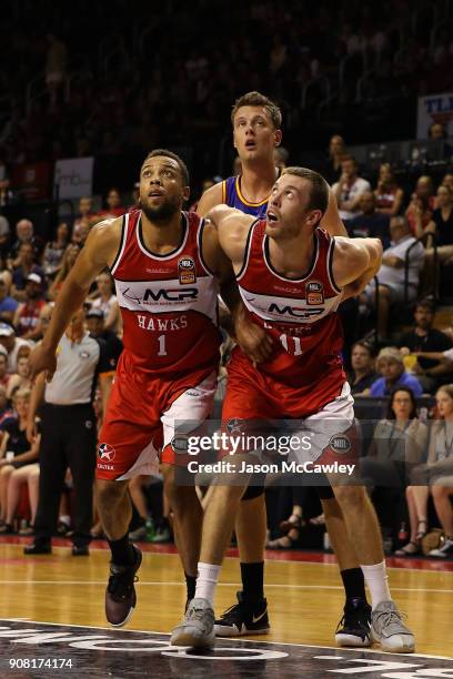 Demitrius Conger and Nicholas Kay of the Hawks look on during the round 15 NBL match between the Illawarra Hawks and Adelaide United at Wollongong...