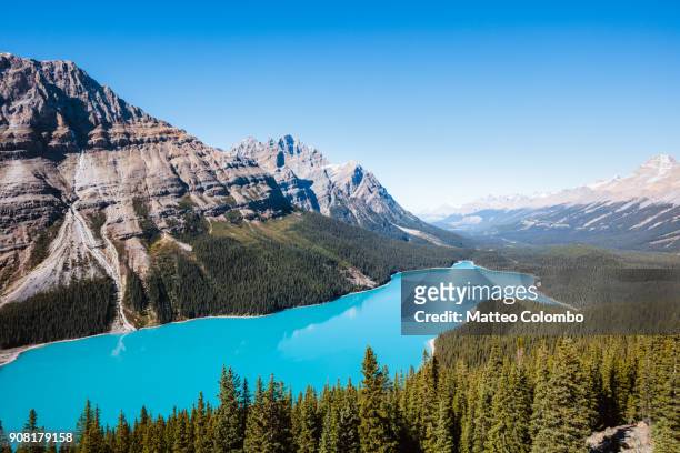 peyto lake, banff national park, alberta, canada - parco nazionale di banff foto e immagini stock