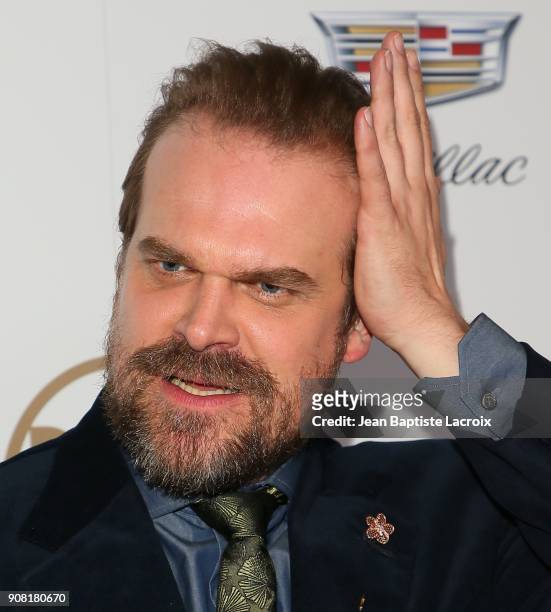 David Harbour attends the 29th Annual Producers Guild Awards at The Beverly Hilton Hotel on January 20, 2018 in Beverly Hills, California.