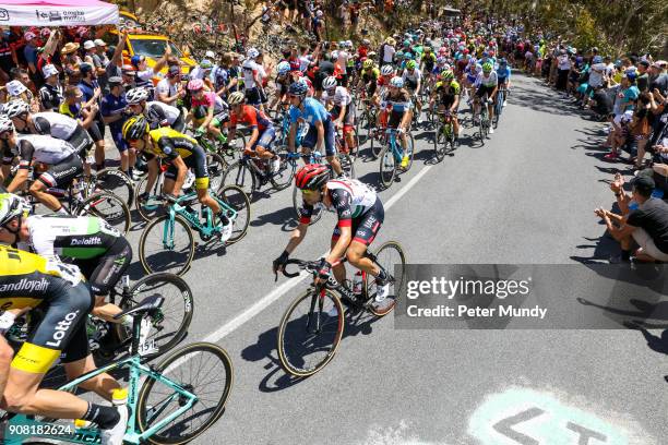 Stage five from McLaren Vale to Willunga Hill at the Santos Tour Down Under on January 20, 2018 in Adelaide, Australia.