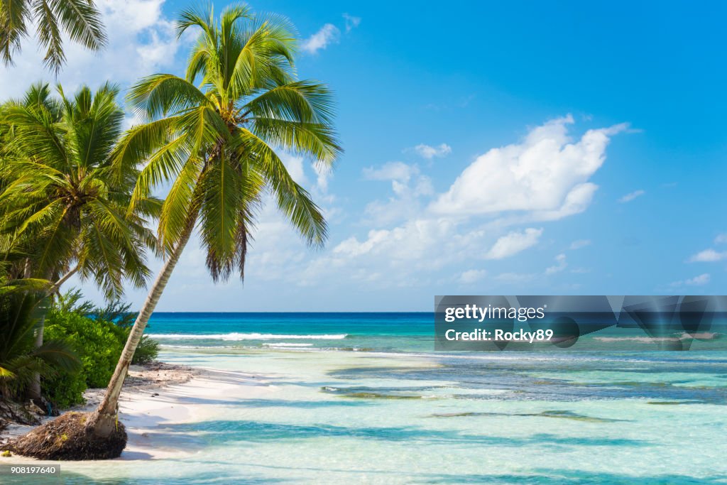 Wunderschönen Dominikanische Republik