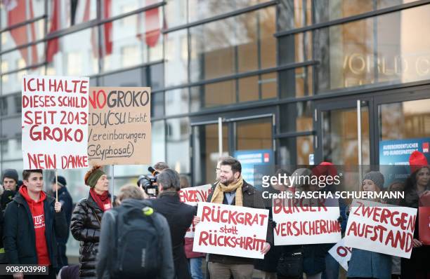 Opponents of the "GroKo", as the grand coalition between Germany's social democratic SPD party and the conservative CDU/CSU union is known in German,...