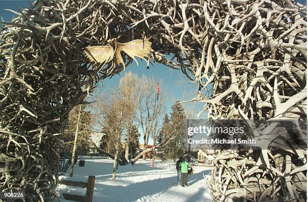 An arch constructed from elk antlers decorates the town square of Jackson, Wyoming February 9, 2001. Large bull elk shed their antlers in April every...