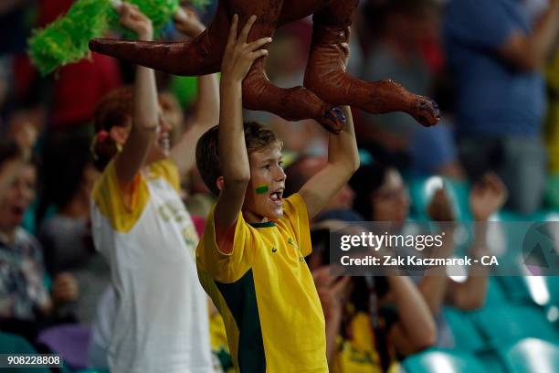 Fans enjoy game three of the One Day International series between Australia and England at Sydney Cricket Ground on January 21, 2018 in Sydney,...