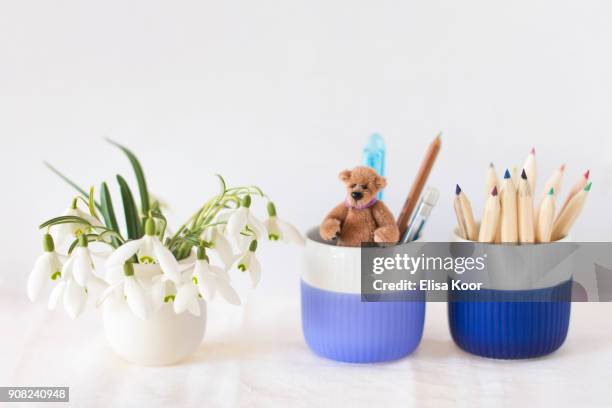 teddy in a pencil cup - desk toy 個照片及圖片檔