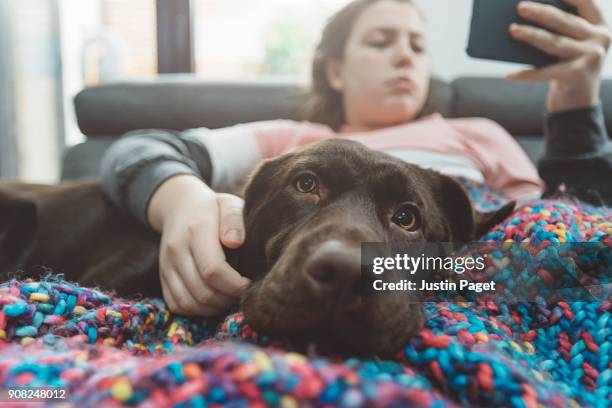 dog on sofa with teenage girl - dog on a couch stock pictures, royalty-free photos & images