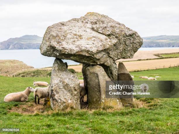 carreg samson - a neolithic dolmen:the wales coast path in pembrokeshire - doelman stock-fotos und bilder