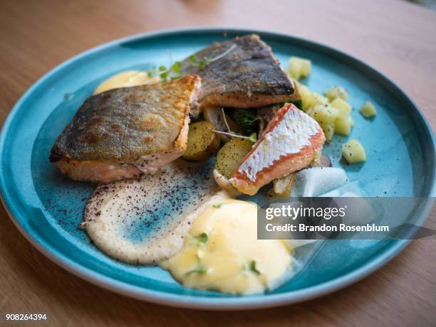 icelandic arctic char - arctic char stock-fotos und bilder