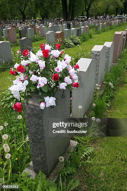 group of grave stones in cemetary - buzbuzzer stock pictures, royalty-free photos & images