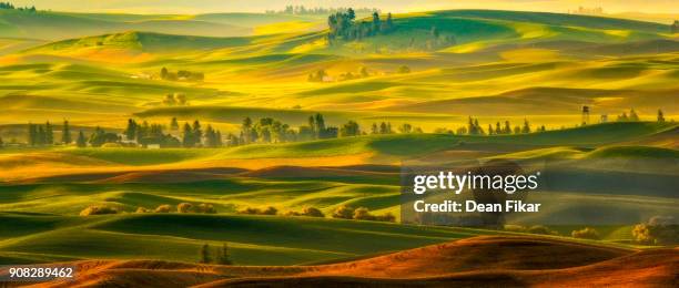 late day in the rolling hills of the palouse - palouse imagens e fotografias de stock