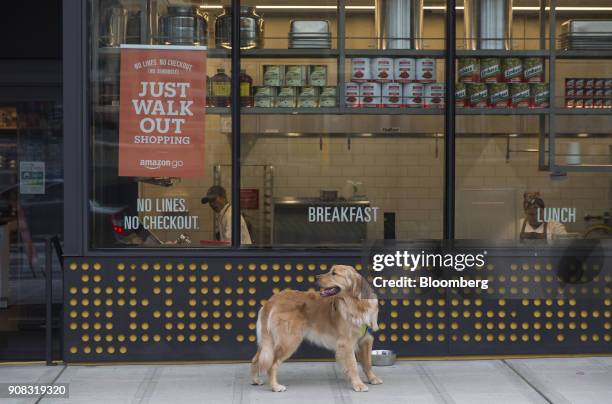Dog stands outside the Amazon Go store in Seattle, Washington, U.S., on Wednesday, Jan. 17, 2018. After more than a year of testing with an...