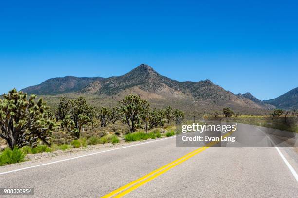 road trip - mojave yucca stock pictures, royalty-free photos & images