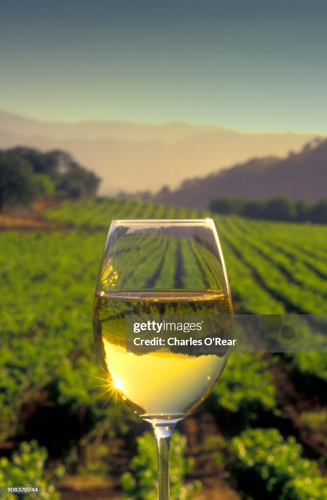 Chardonnay in wine glass