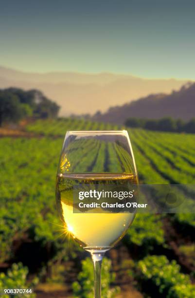 chardonnay in wine glass - wine glasses stock pictures, royalty-free photos & images