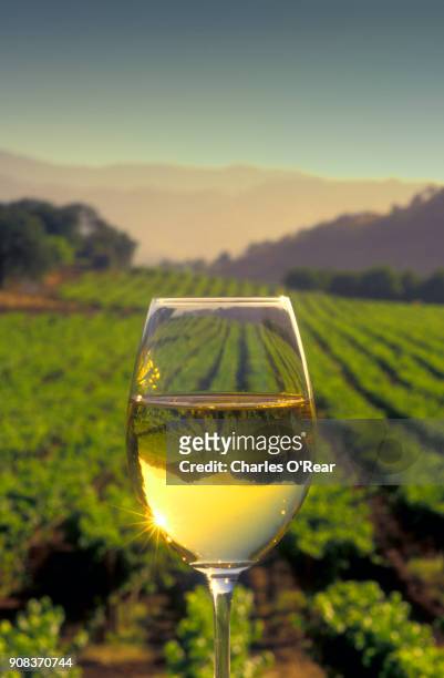 chardonnay in wine glass - white wine 個照片及圖片檔