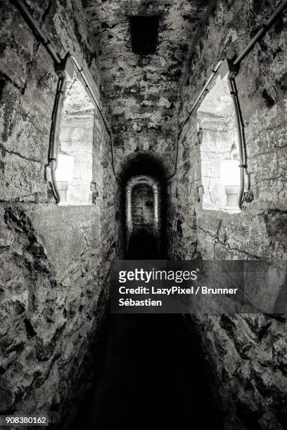 monochrome stone corridor - lazypixel photos et images de collection