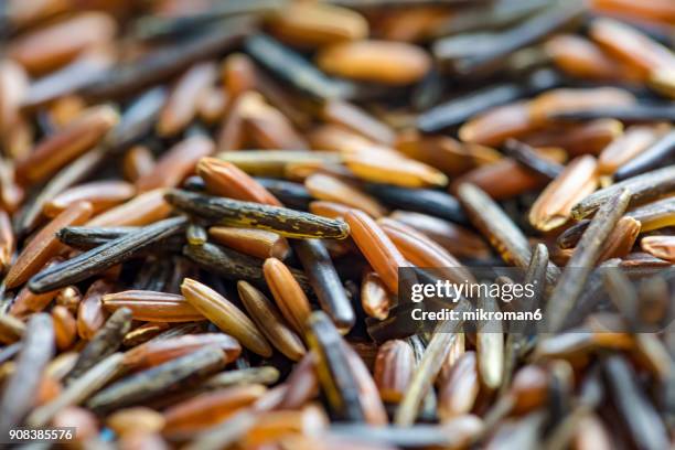 black rice and red rice, macro shot.. traditional food. - wilde rijst stockfoto's en -beelden