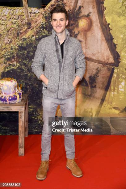 Patrick Moelleken attends the 'Die kleine Hexe' Premiere at Mathaeser Filmpalast on January 21, 2018 in Munich, Germany.