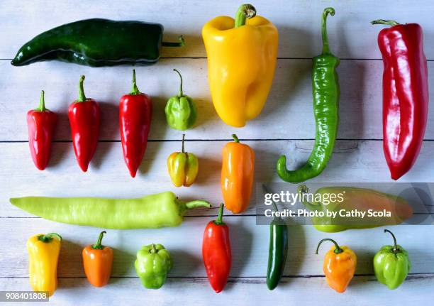 variety of fresh peppers - jalapeno stock-fotos und bilder