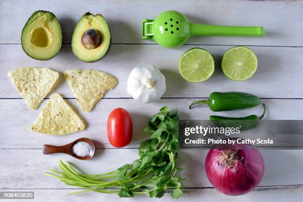 guacamole ingredients - knolling concept stock pictures, royalty-free photos & images