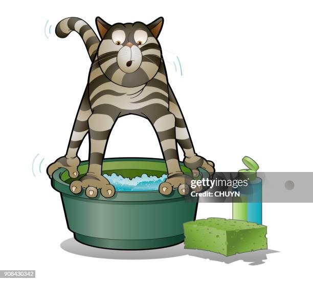 illustrations, cliparts, dessins animés et icônes de produits pour le bain - chat humour