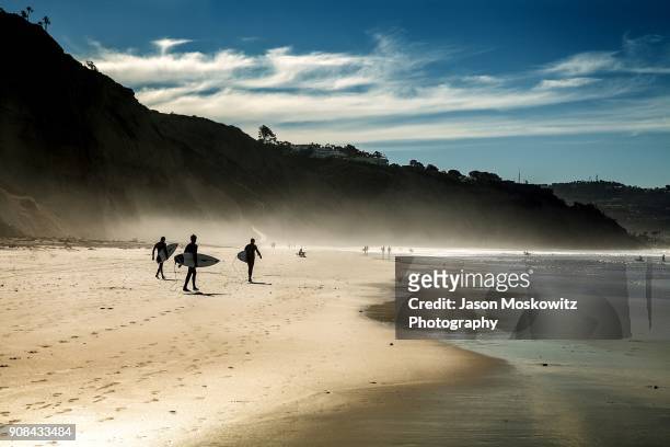 surfers on la jolla beach california - kalifornien stock-fotos und bilder