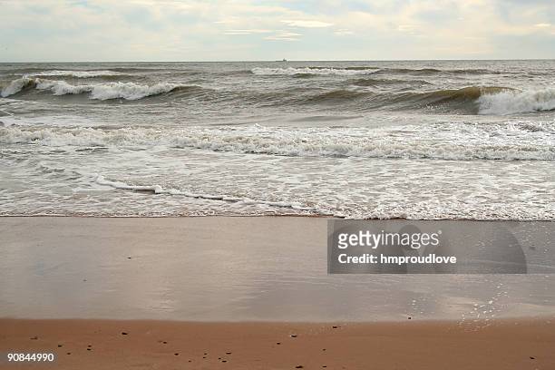 idyllic beach - broken seashell stock pictures, royalty-free photos & images