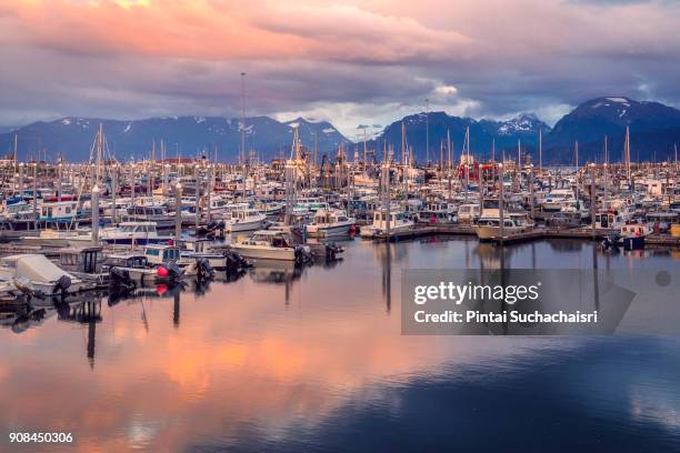 sunset over a port in homer spit, alaska - homer alaska stock pictures, royalty-free photos & images