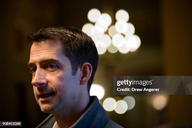 Sen. Tom Cotton speaks to reporters on Capitol Hill, January 21, 2018 in Washington, DC. Lawmakers are convening for a Sunday session to try to...