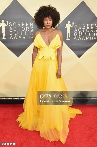 Actor Sydelle Noel attends the 24th Annual Screen Actors Guild Awards at The Shrine Auditorium on January 21, 2018 in Los Angeles, California.