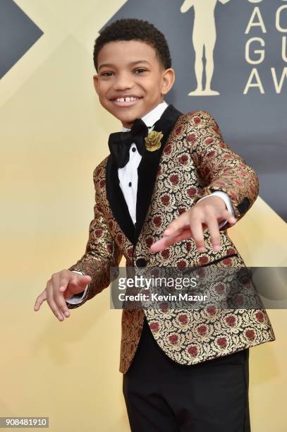 Actor Lonnie Chavis attends the 24th Annual Screen Actors Guild Awards at The Shrine Auditorium on January 21, 2018 in Los Angeles, California....