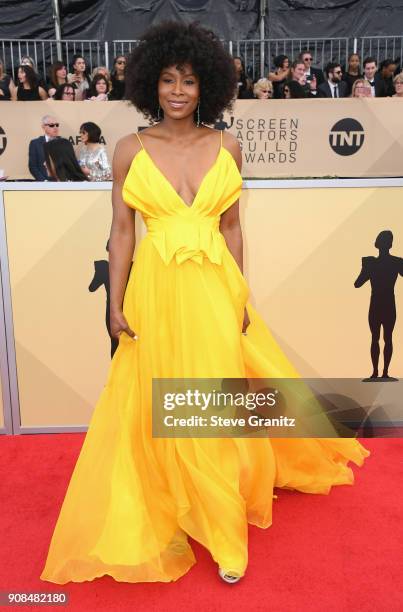 Actor Sydelle Noel attends the 24th Annual Screen Actors Guild Awards at The Shrine Auditorium on January 21, 2018 in Los Angeles, California.