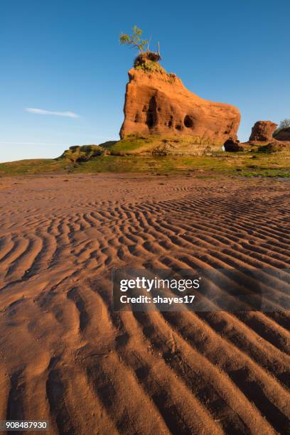 sunset tidal mud patterns - bay of fundy stock pictures, royalty-free photos & images