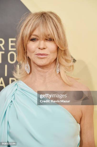 Actor Goldie Hawn attends the 24th Annual Screen Actors Guild Awards at The Shrine Auditorium on January 21, 2018 in Los Angeles, California....