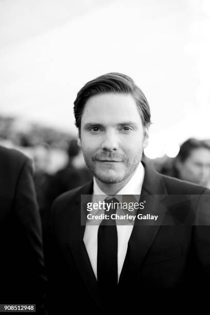 Actor Daniel Bruhl attends the 24th Annual Screen Actors Guild Awards at The Shrine Auditorium on January 21, 2018 in Los Angeles, California....