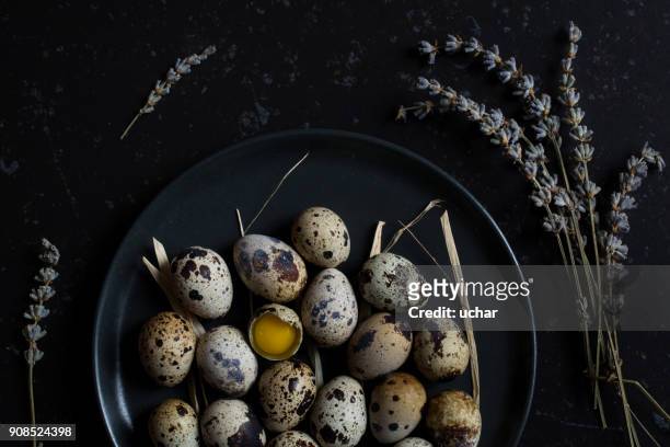 uovo rotto - uovo di quaglia foto e immagini stock