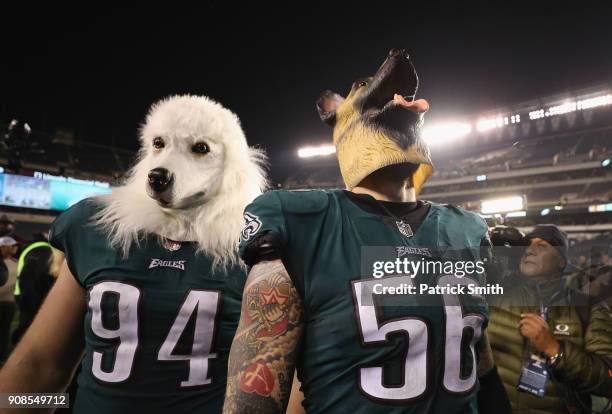 Beau Allen and Chris Long of the Philadelphia Eagles celebrates their teams win while wearing a dog masks over the Minnesota Vikings in the NFC...