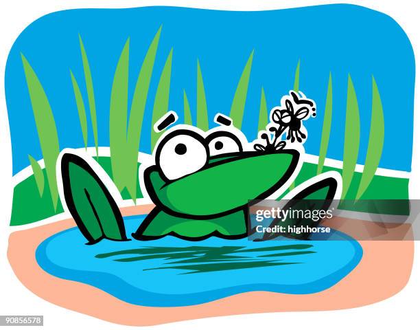 frog and flies - frog dissection stock illustrations