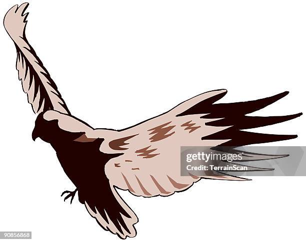 flying eagle - bald eagle flying stock illustrations