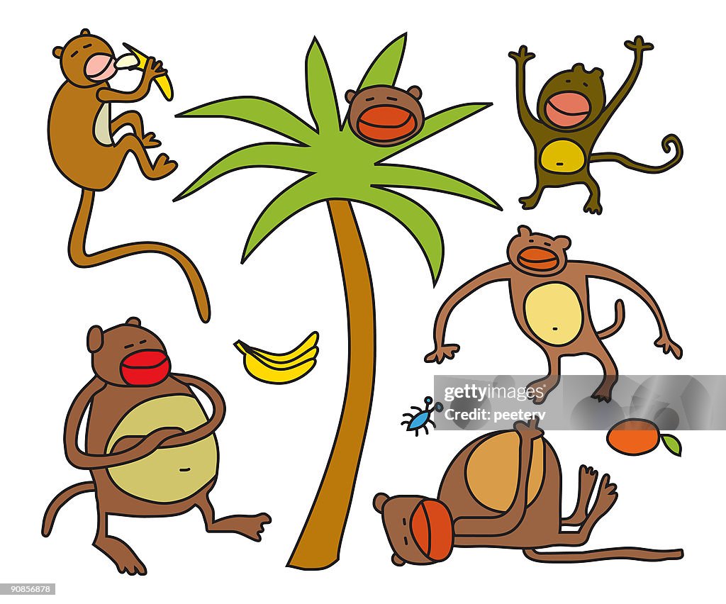 Vector monkeys