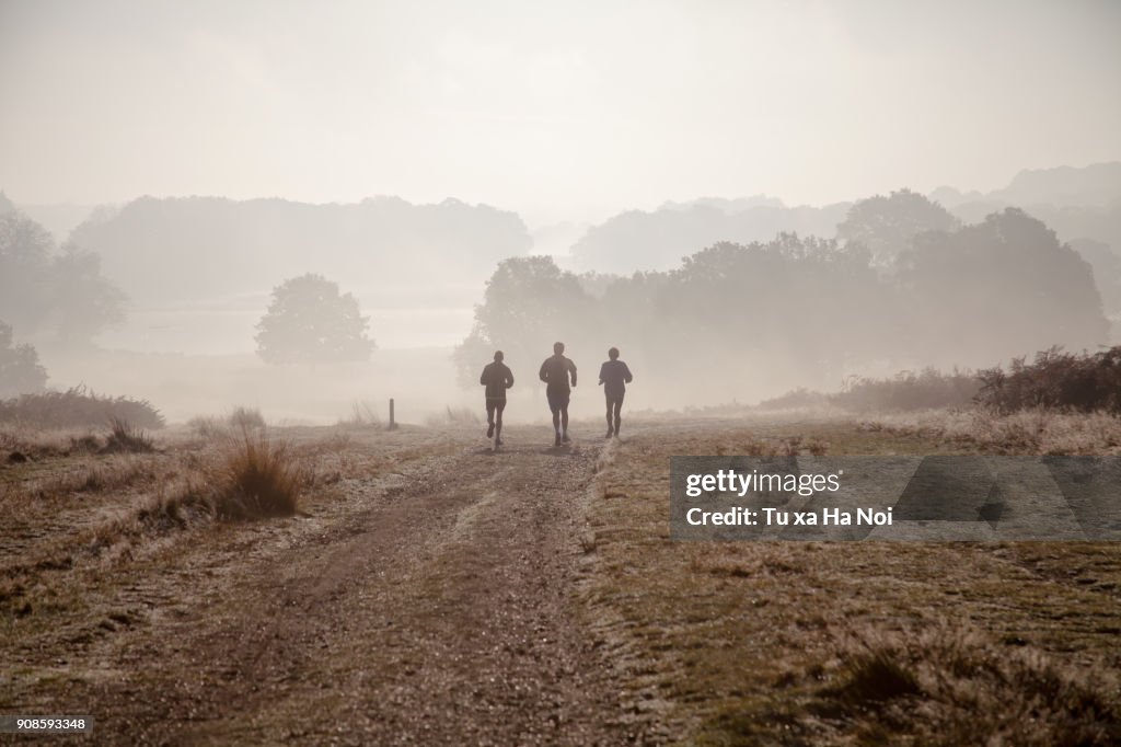 Three amigos running in Richmond Park, London