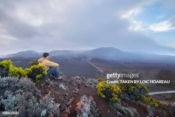 introspection - creole ethnicity stockfoto's en -beelden