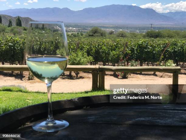 torrontes wine - provincia-di-salta foto e immagini stock